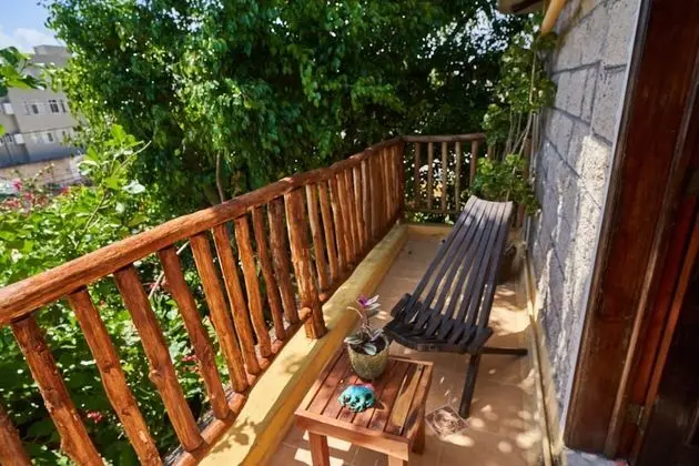 Çatı Katı Süiti (Penthouse), 1 Büyük (Queen) Boy Yatak