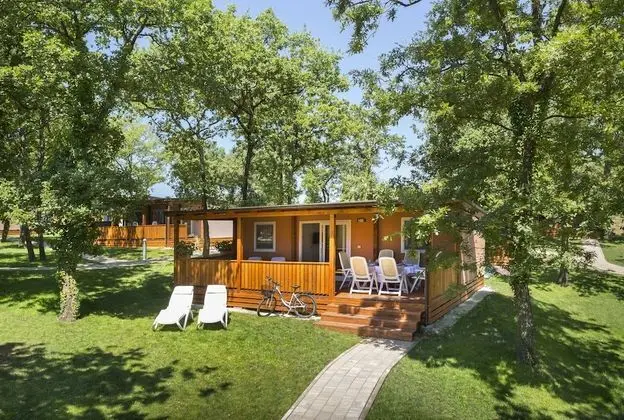 Family Karavan, 3 Yatak Odası, Teras