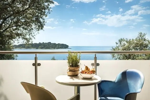 Standard Büyük Yataklı Tek Kişilik Oda, Balkon
