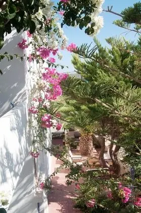 Stüdyo, Bahçe Manzaralı