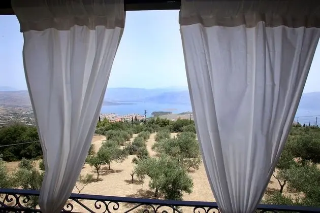 Panoramic Apart Daire (Olive)