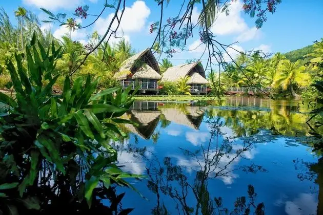 Premium Bungalov (Garden Pool)