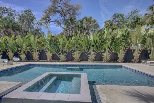 Ev (Majestic Mid-Century Modern Pool Home)