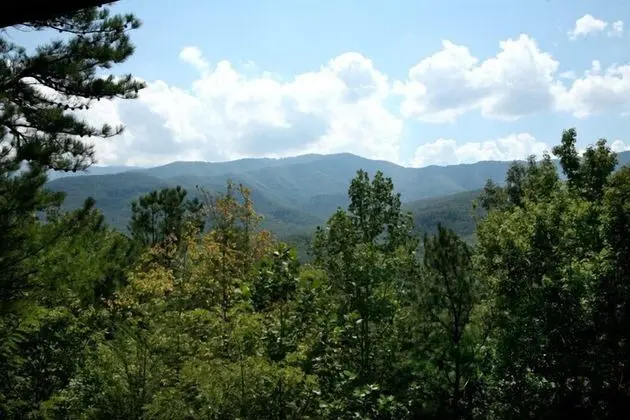 Kulübe (Majestic View)