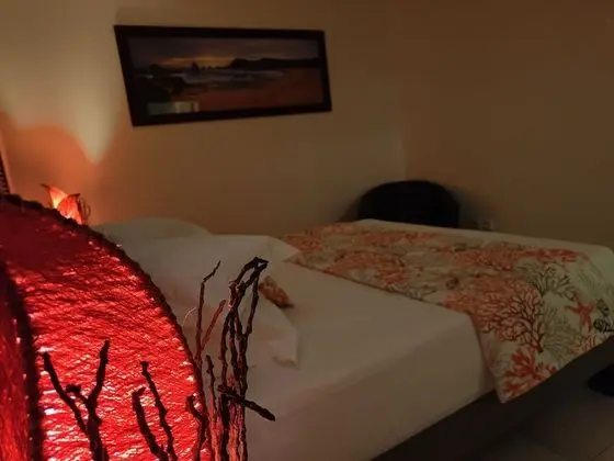 Premium Süit, 1 Yatak Odası, Sıcak Su Havuzu (Suite Feu: Passion)