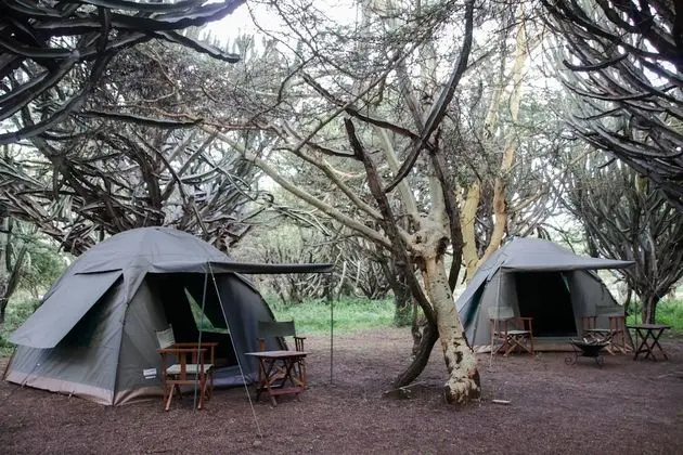 Çadır (Mattress and Tent Provided)