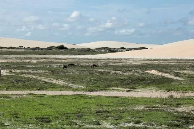 Villa, 3 Yatak Odası, Balkon