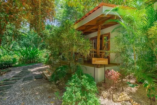 Comfort Oda, 1 En Büyük (King) Boy Yatak, Bahçe Manzaralı