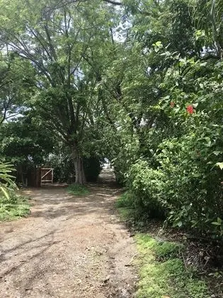 Comfort Süit, 1 Büyük (Queen) Boy Yatak, Bahçe Manzaralı