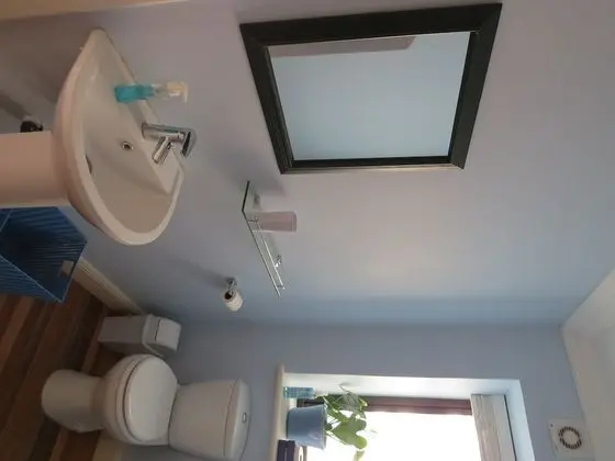 Deluxe Tek Büyük veya İki Ayrı Yataklı Oda, Nehir Manzaralı (Strelitzia)