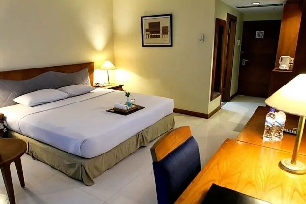 Superior Oda, Manzarasız (Room Only)