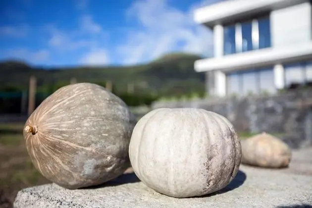 Tek Büyük Yataklı Oda (FAJA ST CRISTO)