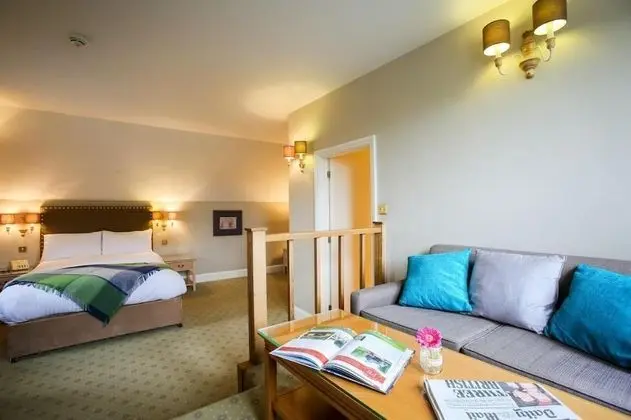 Executive Tek Büyük Yataklı Oda