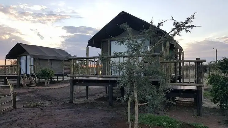 Luxury Çadır, 1 Yatak Odası, Balkon, Bahçe Manzaralı