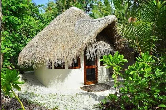 Deluxe Bungalov