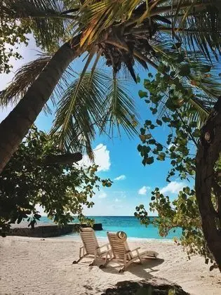 Deluxe Bungalov
