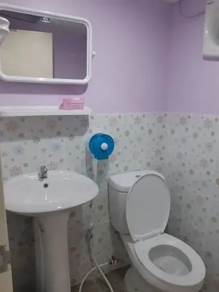 Standard Ev