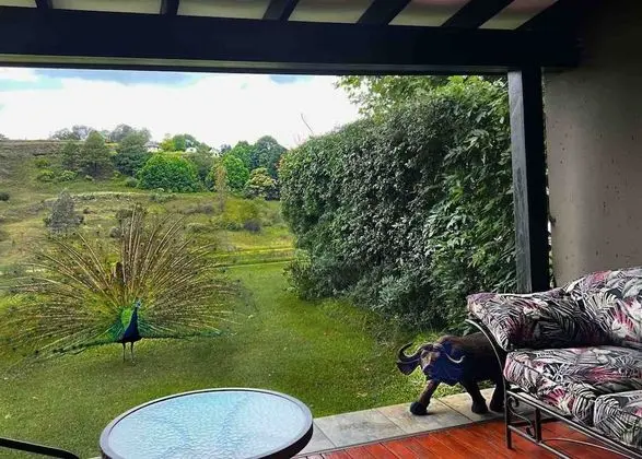 Luxury Tek Büyük Yataklı Oda