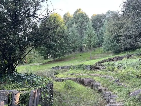 Luxury Üç Kişilik Oda, Dağ Manzaralı