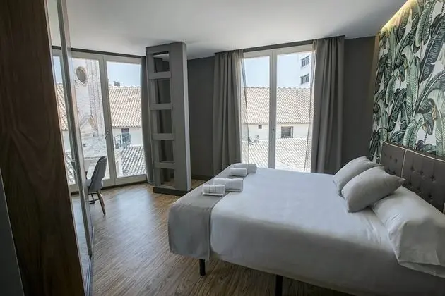 Superior Tek Büyük Yataklı Oda, Şehir Manzaralı