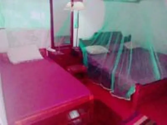 Deluxe Tek Büyük Yataklı Oda, 1 Büyük (Queen) Boy Yatak, Sigara İçilmez, Bahçe Manzaralı