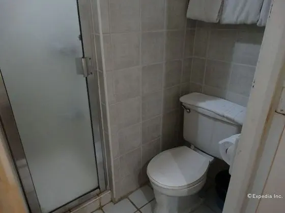 Deluxe Dört Kişilik Oda, Birden Çok Yatak