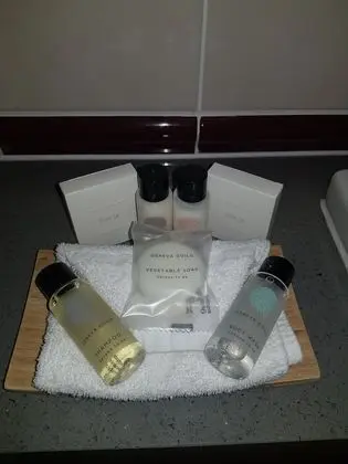 Deluxe Double Single Room