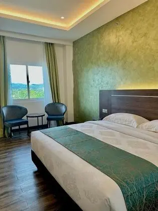 Premier Tek Büyük Yataklı Oda