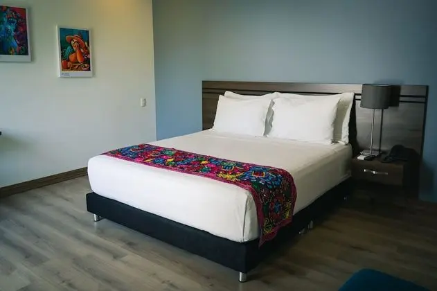 Superior Tek Büyük Yataklı Oda, 1 Çift Kişilik Yatak, Avlu Manzaralı