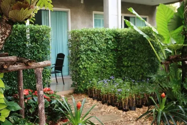 Garden View Room