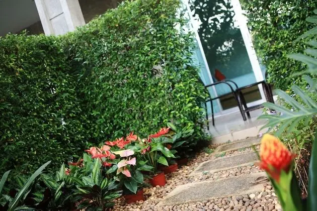 Garden View Room