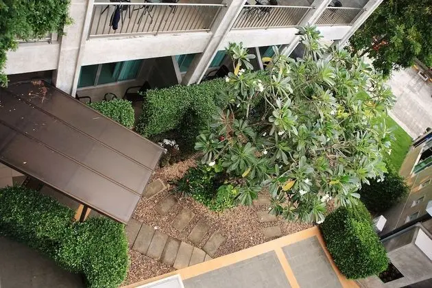 Garden View Room