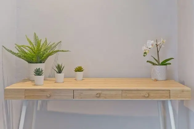 Ev, Özel Banyo