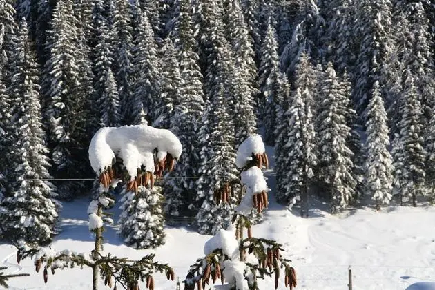 Deluxe Apart Daire, 1 Büyük (Queen) Boy Yatak ve Çekyat, Dağ Manzaralı