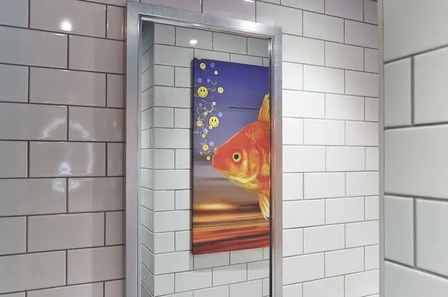 Süit