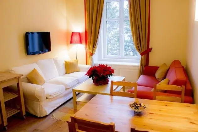 Comfort Apart Daire, 1 Yatak Odası, Küçük Mutfak