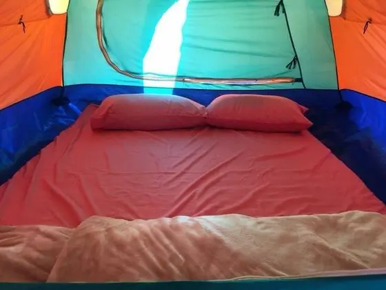 Budget Tent