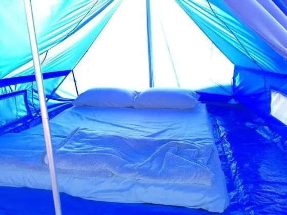 Budget Tent