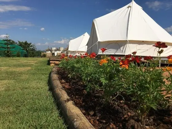 Indiadang Tent