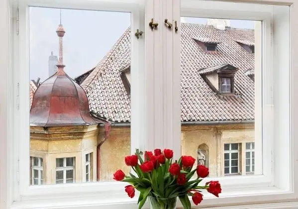 Suite Apartment