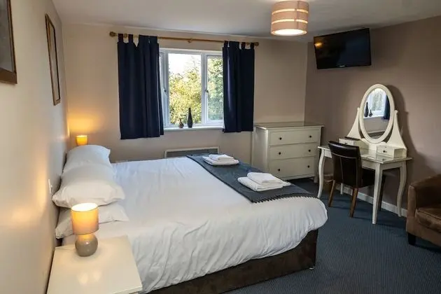 Standard Tek Büyük Yataklı Oda, Engellilere Uygun