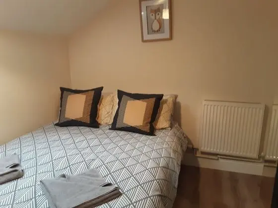 Deluxe Apart Daire, Ortak Banyo (Apartment 1)