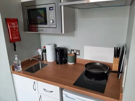 Deluxe Stüdyo, Banyolu/Duşlu (Saville Street)