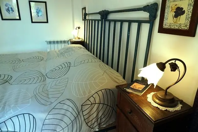 Standard Tek Büyük veya İki Ayrı Yataklı Oda, 1 Yatak Odası, Avlu Manzaralı