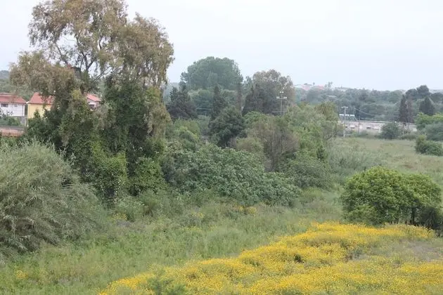 Basic Tek Büyük Yataklı Oda, Nehir Manzaralı