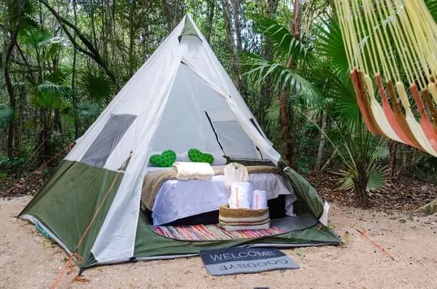 Standard Oda (Glamping)