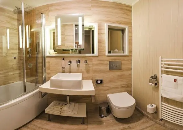 Executive Tek Büyük veya İki Ayrı Yataklı Oda (Free Wellness)