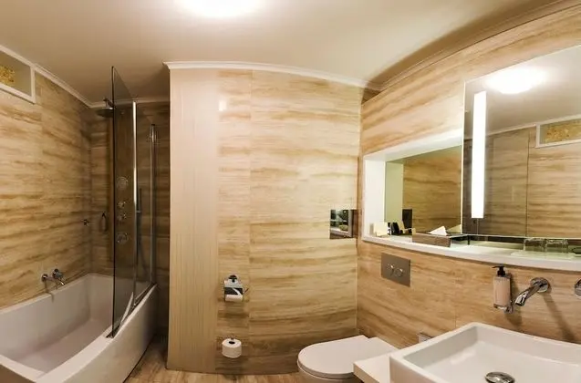 Executive Tek Büyük veya İki Ayrı Yataklı Oda (Free Wellness)