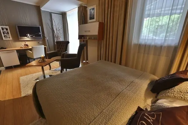 Superior Tek Büyük Yataklı Oda (Free Wellness)