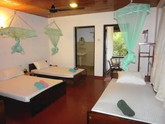 Standard Oda, 1 Yatak Odası, Sigara İçilebilir, Avlu